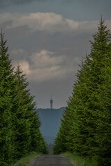 Path near Bozi Dar village in Krusne mountains before storm