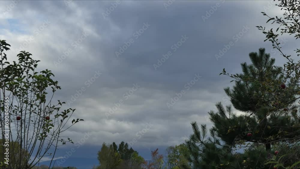 Poster timelapse with sky, moving clouds over silesian beskid mountains in poland, branches apple trees wit