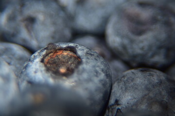 Close up of juicy, tasty blueberries. Extreme close up of fruit texture background.
