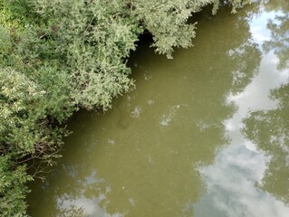 Top view of the water surface of the river. Bank of a small river.