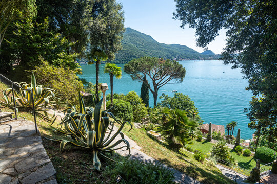 The beautiful Scherrer Park in Morcote, full of exquisite subtropical flora on the lakefront of Lugano Lake, Switzerland