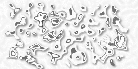 Vector cartography illustration .gray and white topography,geography map grid abstract backdrop,business concept,abstract white pattern topography and vactor background geographic line map  evevation