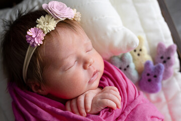portrait of beautiful newborn baby girl on easter sleeping with felted bunnies and flower crown headband in natural studio window light in the spring