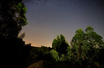 Fototapeta na wymiar Night sky with stars and milky way over the forest, Sardoal, Abrantes, Portugal
