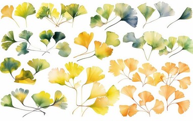 Watercolor ginkgo leaves clipart for graphic resources, Generative AI