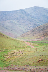 Obraz premium Mountains in Kyrgyzstan. Beautiful kyrgyz landscapes