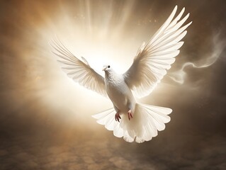 Botin des Friedens: Die Botschaft der weißen Taube