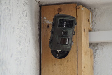 Animal camera mounted on a house wall