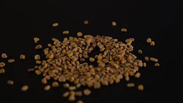 Fenugreek seeds falling on dark surface, close-up. Selective focus. Shambhala or helba seeds is traditional Indian seasoning and ingredient Ayurvedic food.