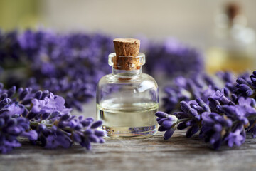 Essential oil bottle with fresh blooming lavender plant