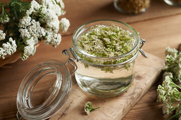 Preparation of herbal tincture from yarrow flowers
