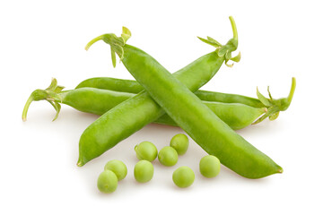green pea path isolated on white
