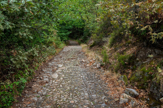 Cobbled path in the Valle del Jerte. Extremadura. Spain.