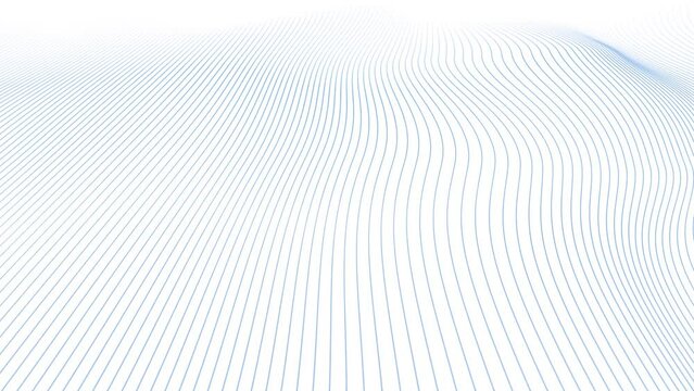 Abstract blue wave lines loop slow motion on white background.