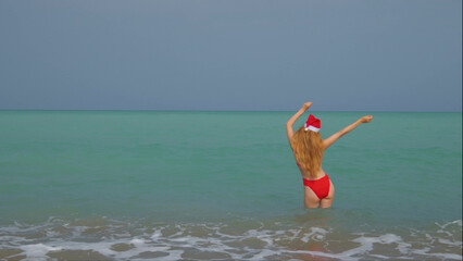 Woman from a back with a long hair, red bikini and in a Santa hat.