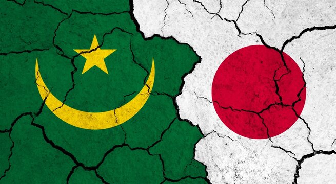 Mauretania Bilder Durchsuchen 736 Archivfotos, und