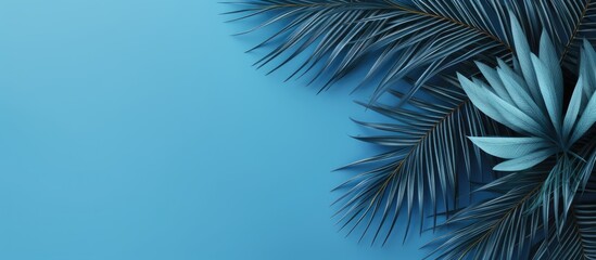 Classic Blue is the color of the year 2020 and this creative minimal background features tropical palm leaves on a blue background in a flat lay perspective, offering a summer vibe with a touch of