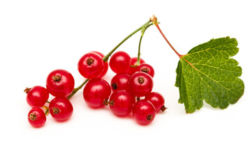 Red currant isolated on white background. Fresh, ripe berries.