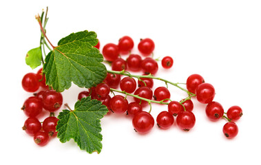 Red currant isolated on white background. Fresh, ripe berries.