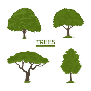 Set of cartoon green trees. Vector tree collection isolated on white background. Flat forest tree, natural plant, foliage. Environment concept. Clip art vector illustration