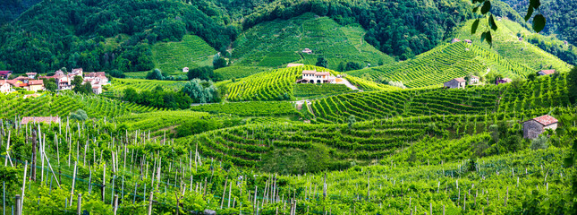 famous wine region in Treviso, Italy.  Valdobbiadene  hills and vineyards on the famous prosecco wine route and scenic villages - 630482602