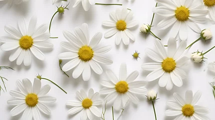 Schilderijen op glas Bright chamomile daisy flower bud and stems pattern on white background. Aesthetic summer flower texture background © Prasanth