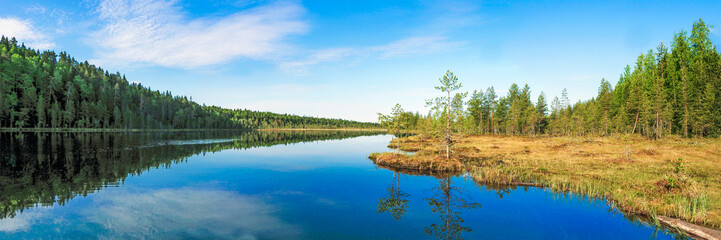 Forest lake in the swamp, northern nature in summer, panoramic image
