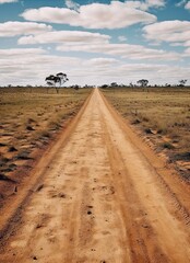 Fototapeta na wymiar Dirt road in the Australian outback with dry grass and trees