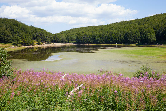 Lake Baccio in the Tuscan Emilian Apennines, Italy