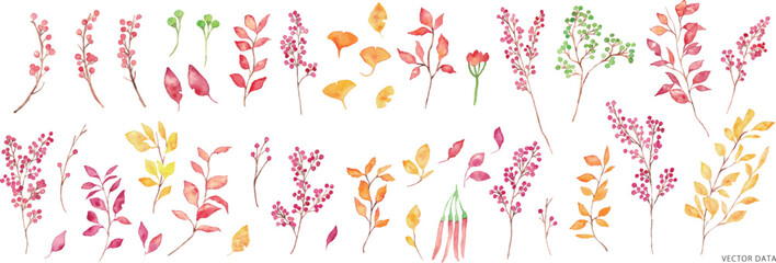 水彩画。水彩タッチの秋の木の実ベクター背景イラスト。秋の植物水彩イラスト。Watercolor. Autumn nuts vector background illustration with watercolor touch. Autumn plants watercolor illustration.