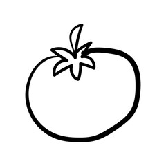 Doodle tomato. Hand drawn icon of vegetables