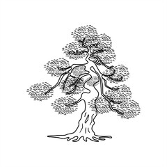 line art illustration of a unique bonsai plant