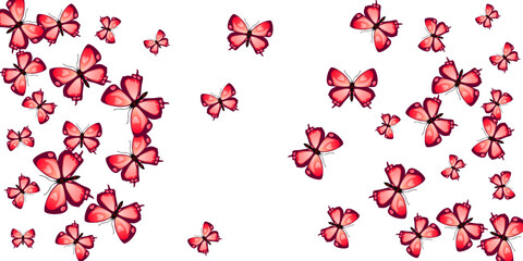Tropical red butterflies isolated vector background. Summer vivid moths. Wild butterflies isolated baby illustration. Delicate wings insects graphic design. Tropical creatures.