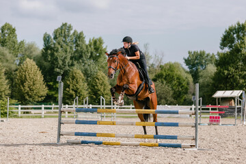 Professional equestrienne exercising hurdle jump on her beautiful horse in an outdoor riding arena...