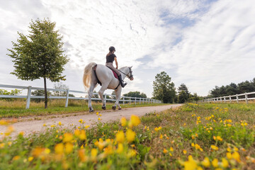 Obraz premium Pretty girl, a horseback rider riding beautiful snow white horse, walking along a path on a sunny summer day