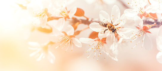 Blooming trees with bees with bokeh background, pastel and bright colors, abstract background of spring, nature sunrise. floral background. Ai generation