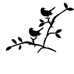bird on a tree branch