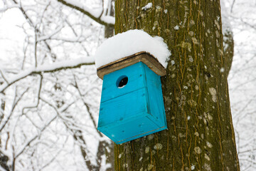 Blue wooden empty birdhouse in the tree on a cold winter day