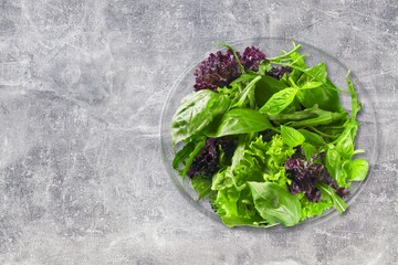 Tasty fresh salad with vegetables in plate