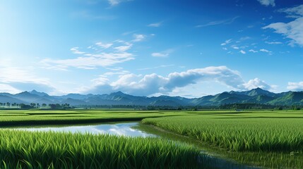 beautiful panorama paddy fields, Generative AI