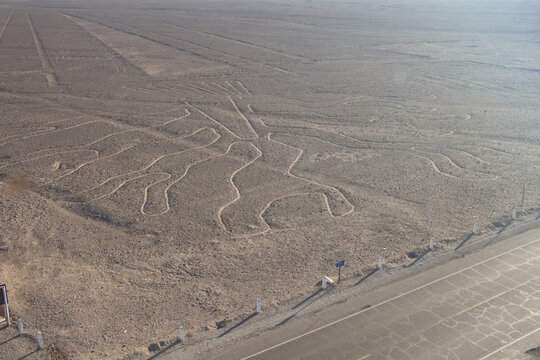Nazca