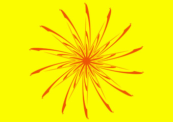 flower on a white background