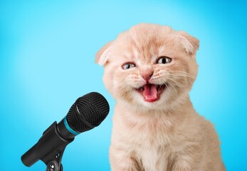 Funny emotional cute cat singing in microphone