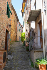 Fototapeta na wymiar Pedestrian Alley in Collodi - Italy