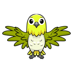 Cute warbling white eye bird cartoon flying