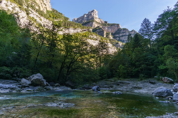Fototapeta na wymiar clear turquoise stream of rio bellos in Anisclo Canyon in Pyrenees Mountains, Ordesa National Park, Aragon, Huesca, Spain