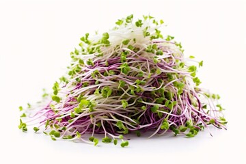 Generative AI : heap of alfalfa sprouts on white background