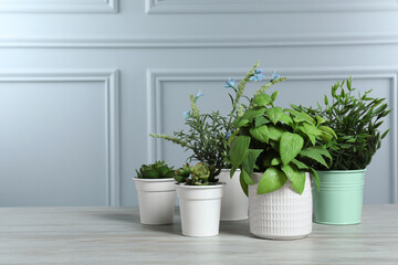 Many different artificial plants in flower pots on white wooden table near grey wall, space for text