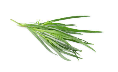 Fototapeta premium Sprigs of fresh tarragon on white background