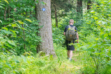 Naklejka na ściany i meble Hiker with a backpack hiking the trail in the woods 